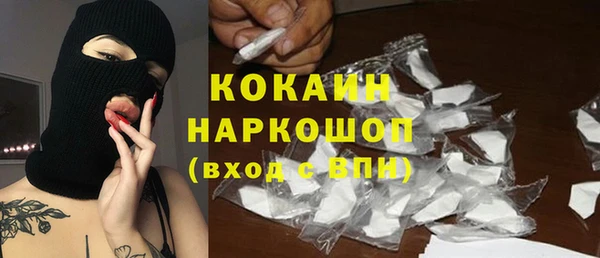 мдпв Протвино
