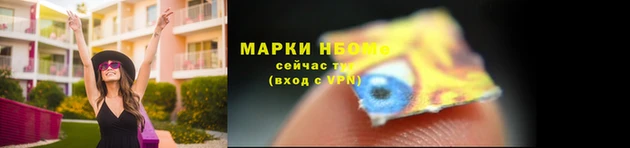 мдпв Протвино
