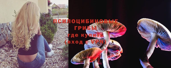 гашик Волгодонск